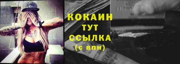 соль ск Алексин