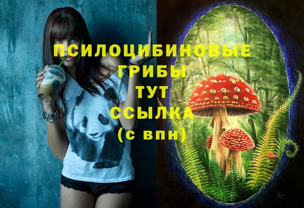 соль ск Алексин