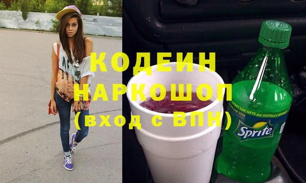 прущий лед Алзамай
