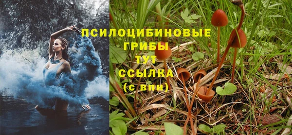 прущий лед Алзамай