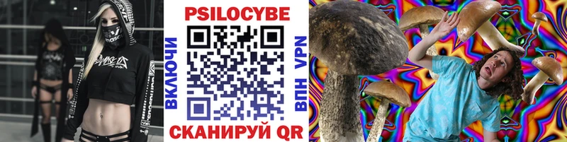 как найти наркотики  Андреаполь  Псилоцибиновые грибы Psilocybine cubensis 